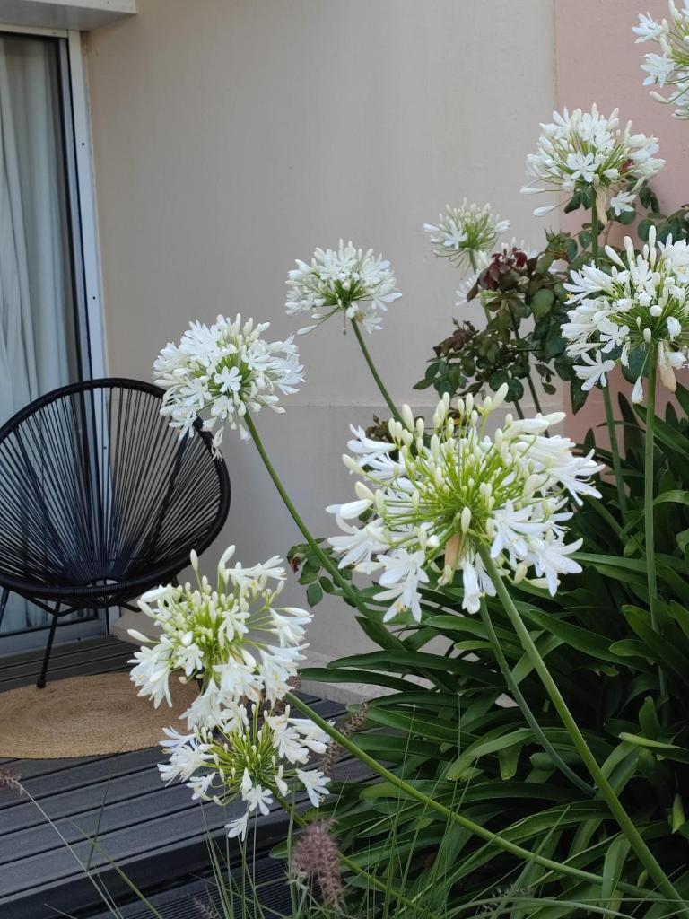LE 3 appartement avec jardin 100m de la plage vue mer photo 1