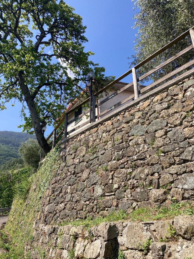 La casa di Amelia photo 1