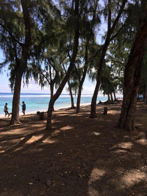 Leu Corail photo 3