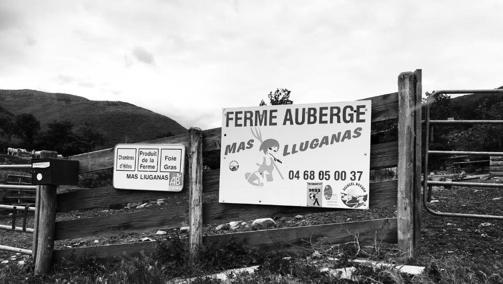 Mas Lluganas photo 1