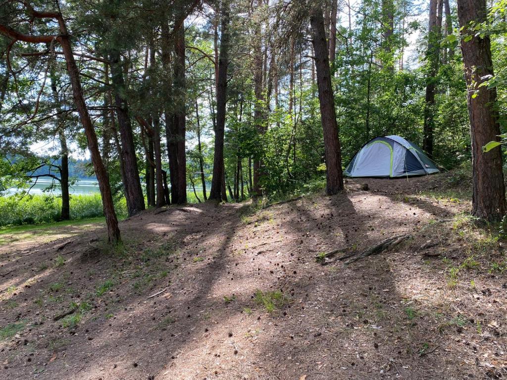 Osada na Cyplu pole namiotowe i campingowe photo 2
