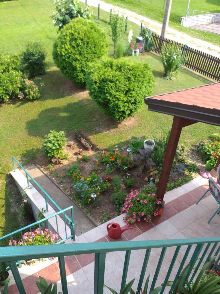 Vila Dalmatinka photo 4