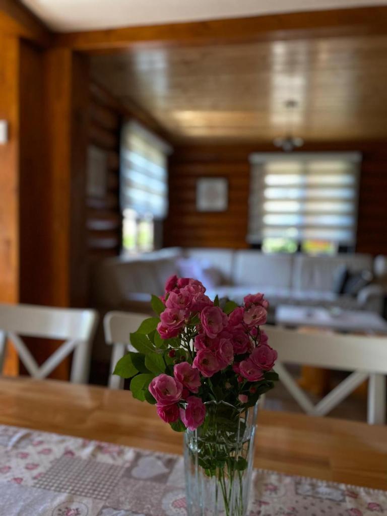 Ruralna kuća za odmor Marta photo 3