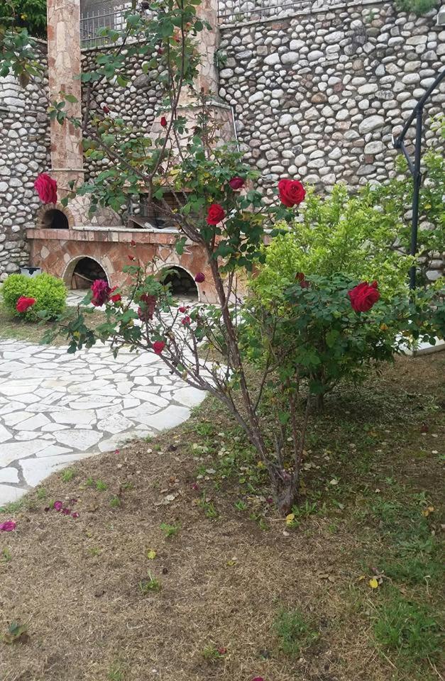 Αρχωντικα στην Τρiχονιδα photo 1