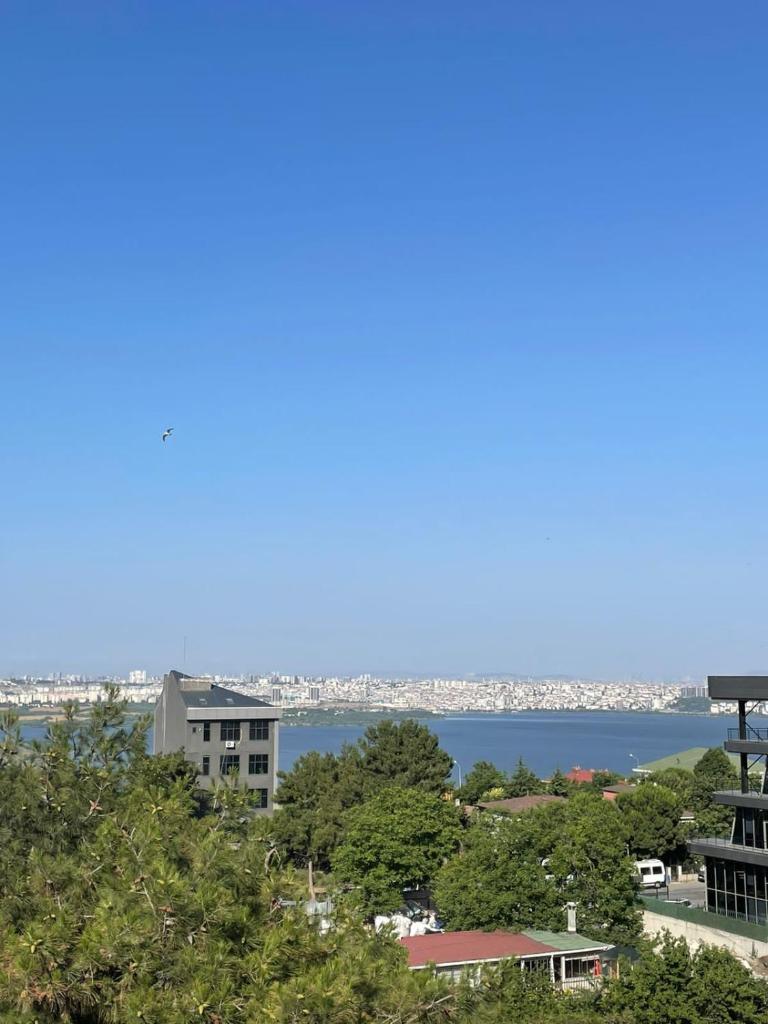 avcilar photo 3