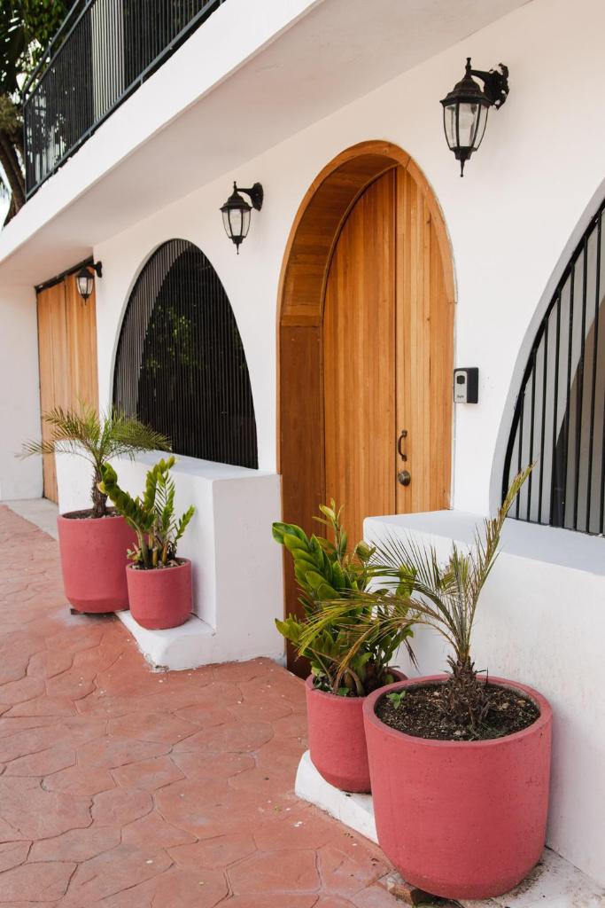 Hotel Selva Maya Bacalar photo 1