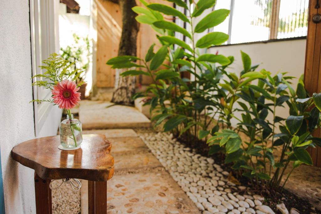 Hotel Selva Maya Bacalar photo 3
