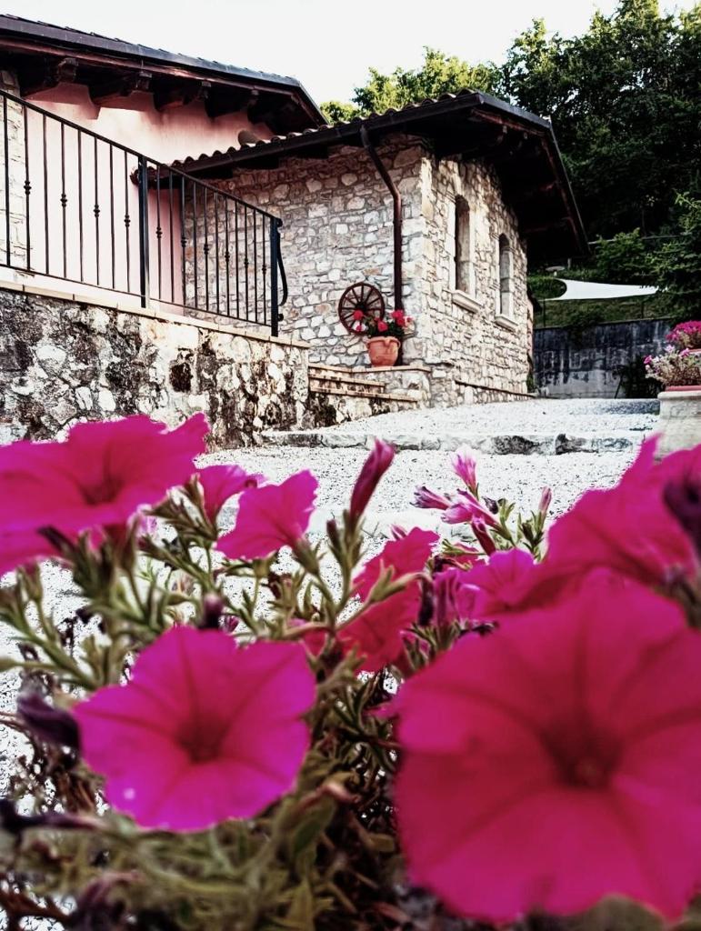 Appartamento Vacanze Il Daino photo 1