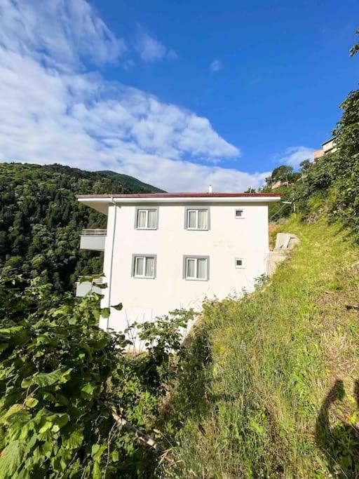 Doğadaki Büyük Eviniz Suit Apart 2+1, Hayrat