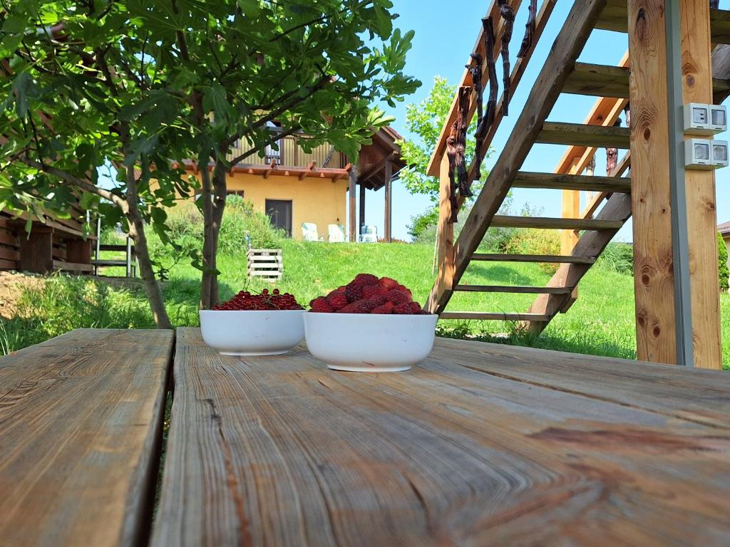 Sovica holiday home & tree house photo 2