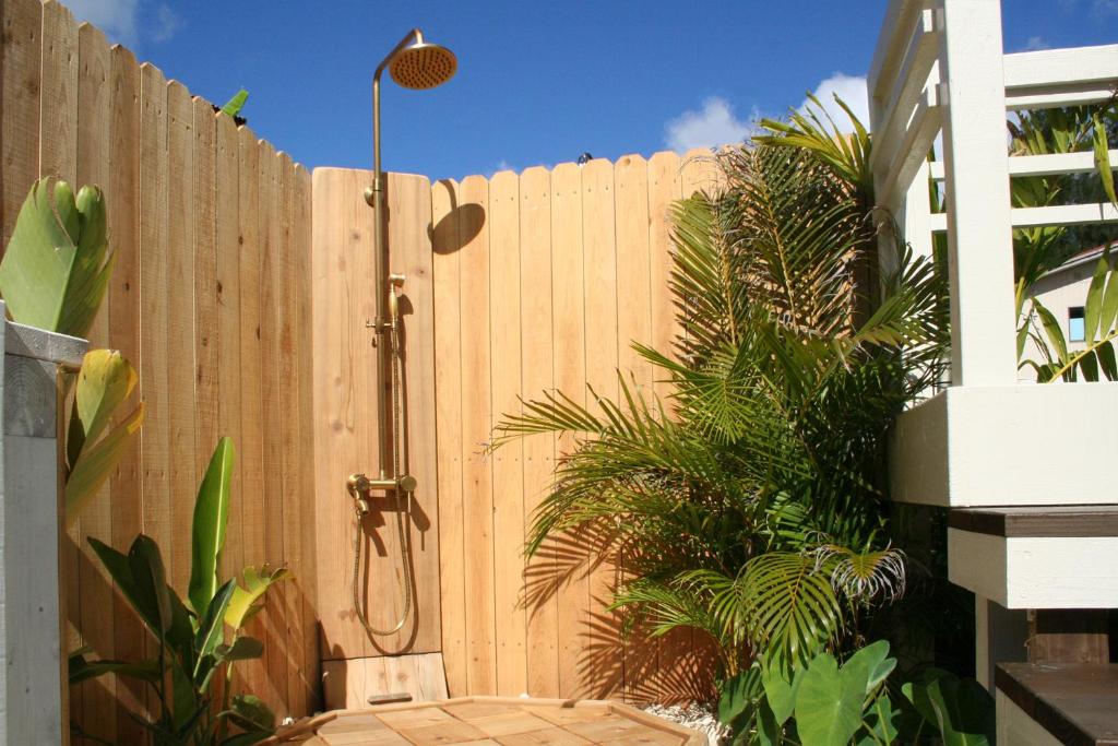 The Guava Shack photo 3