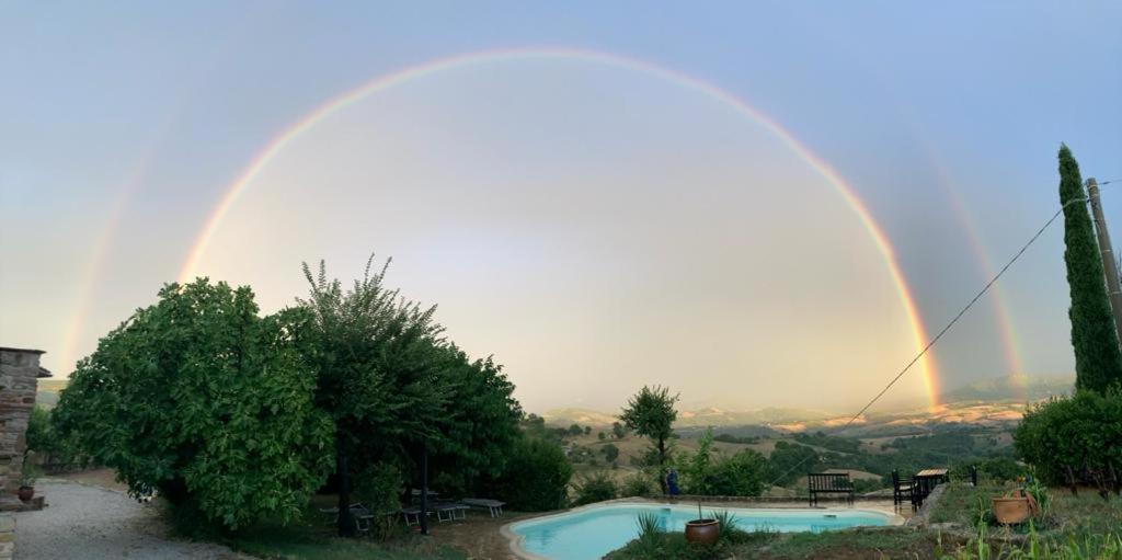 Agriturismo Colle del Lupo photo 2