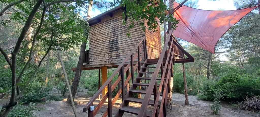 TreeHouses Ljubač Glamping Robinson photo 1