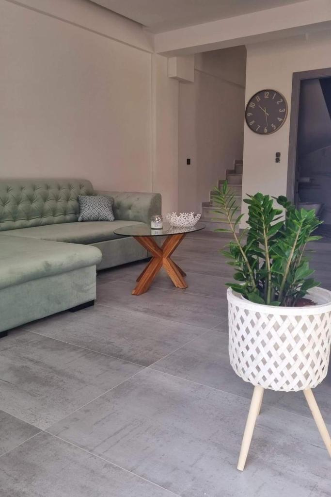 Danielli Luxury Villas photo 3