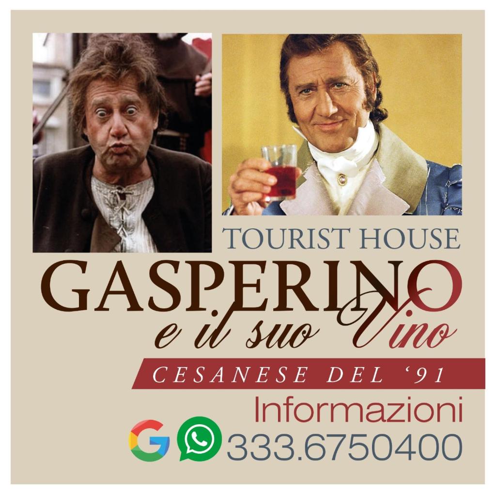 GASPERINO HOUSE photo 2