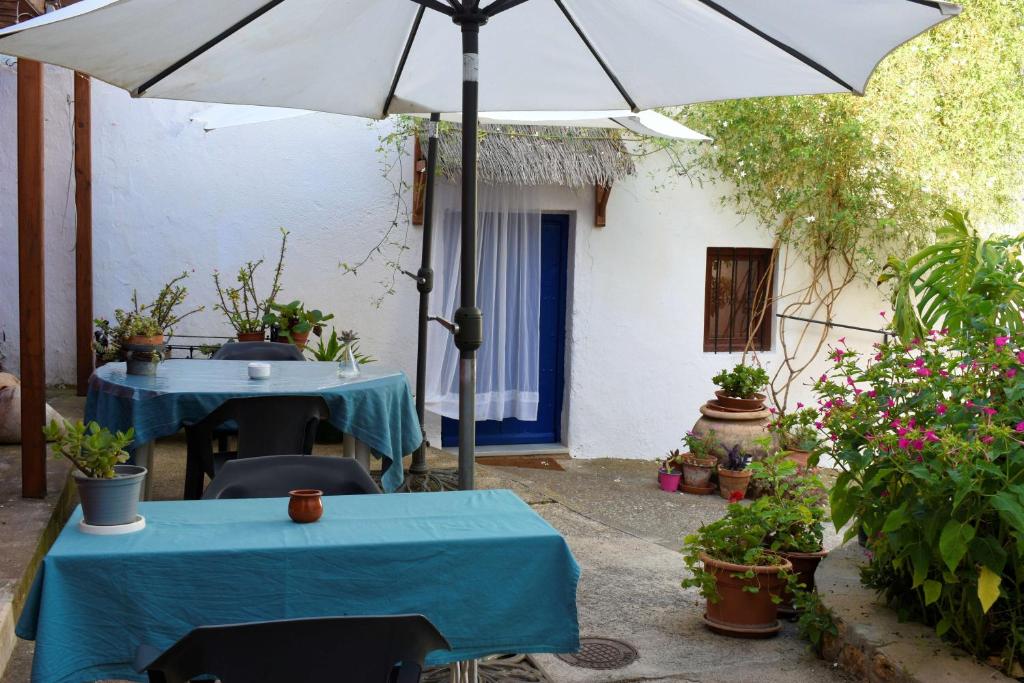 El Aljibe Suite Rural photo 1