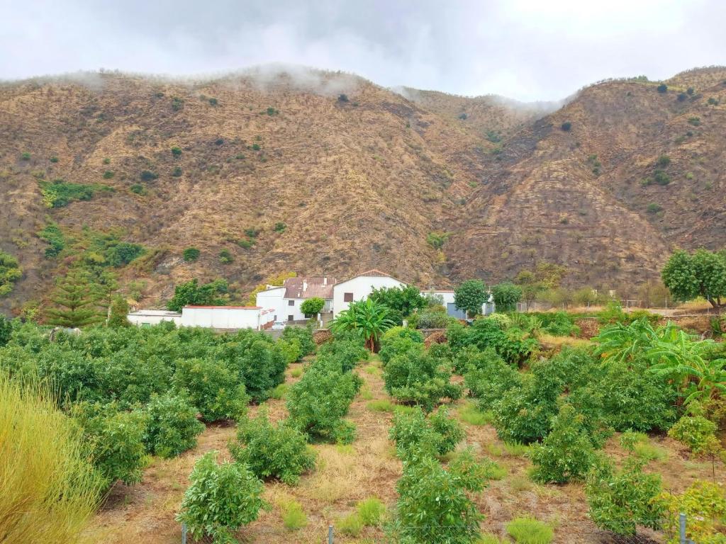 El Aljibe Suite Rural photo 3