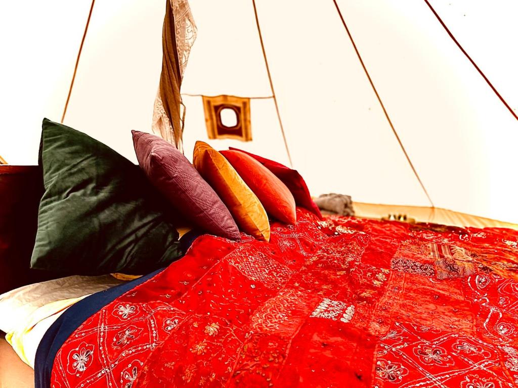 tent delhi a b&b in a luxury glamping style photo 4