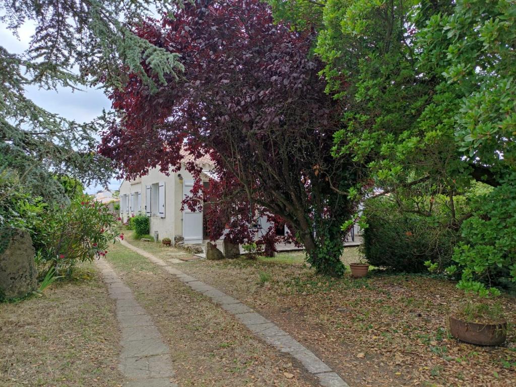 Location maison à l'Epine sur Île de Noirmoutier photo 2