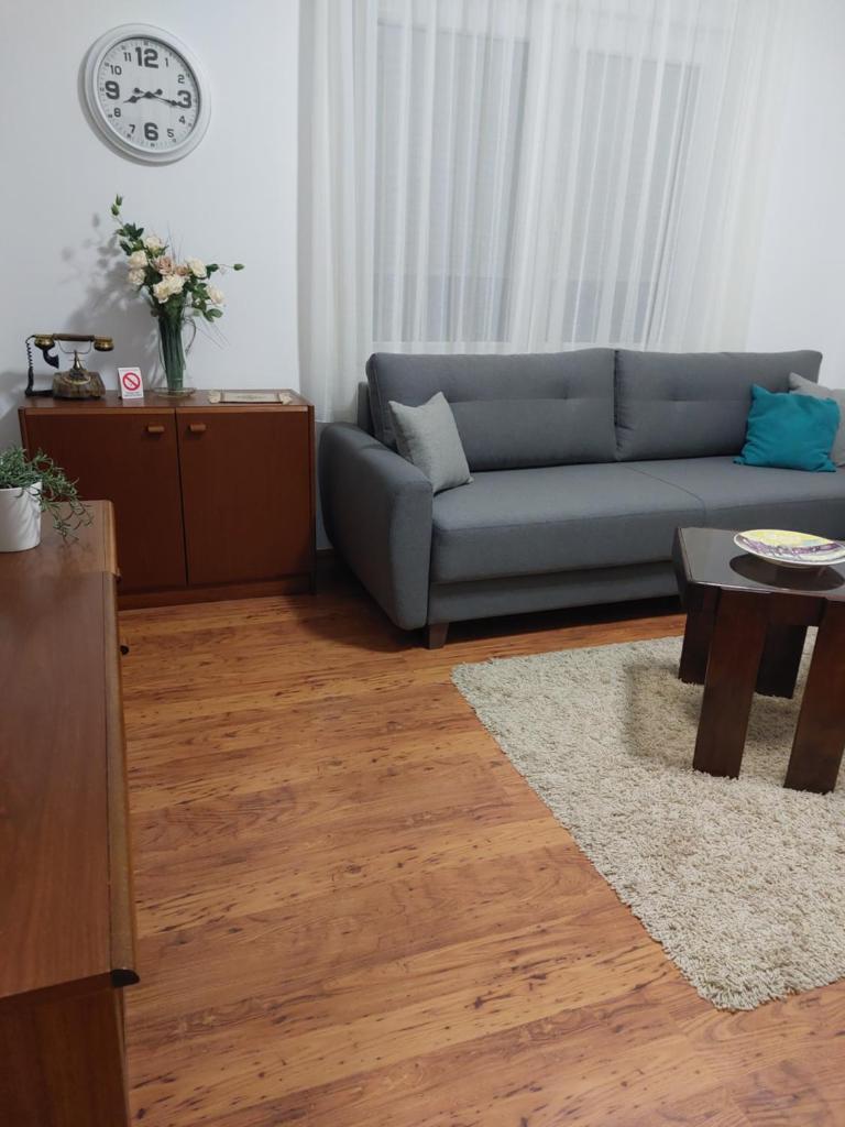 Apartment MILA city center-free parking photo 2