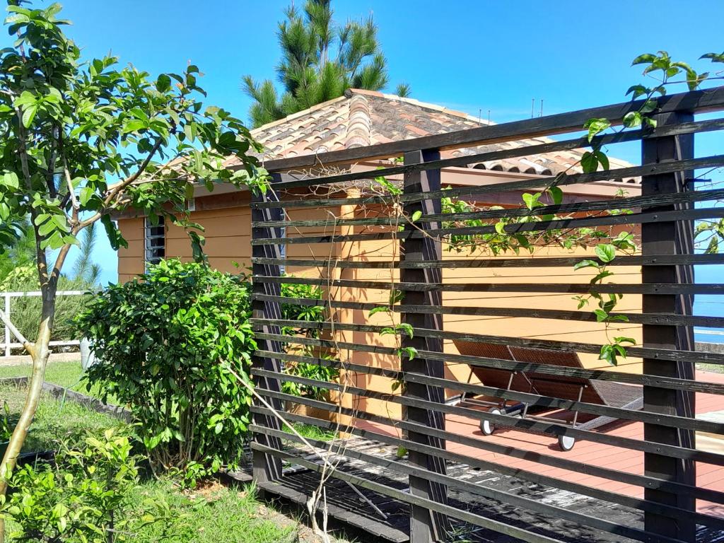 Bungalow Miwa photo 2