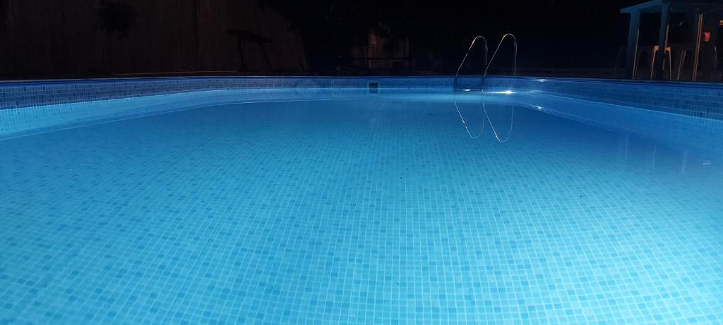 Pool House photo 1