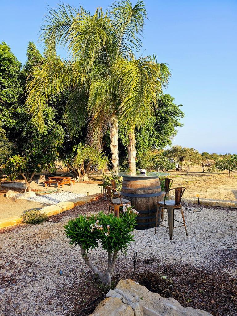 Paradise Traditional House photo 3