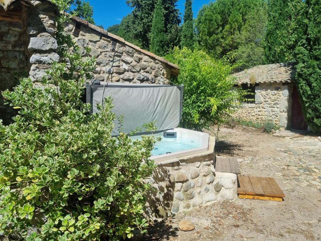 Grand Mas Provençal avec jacuzzi photo 3