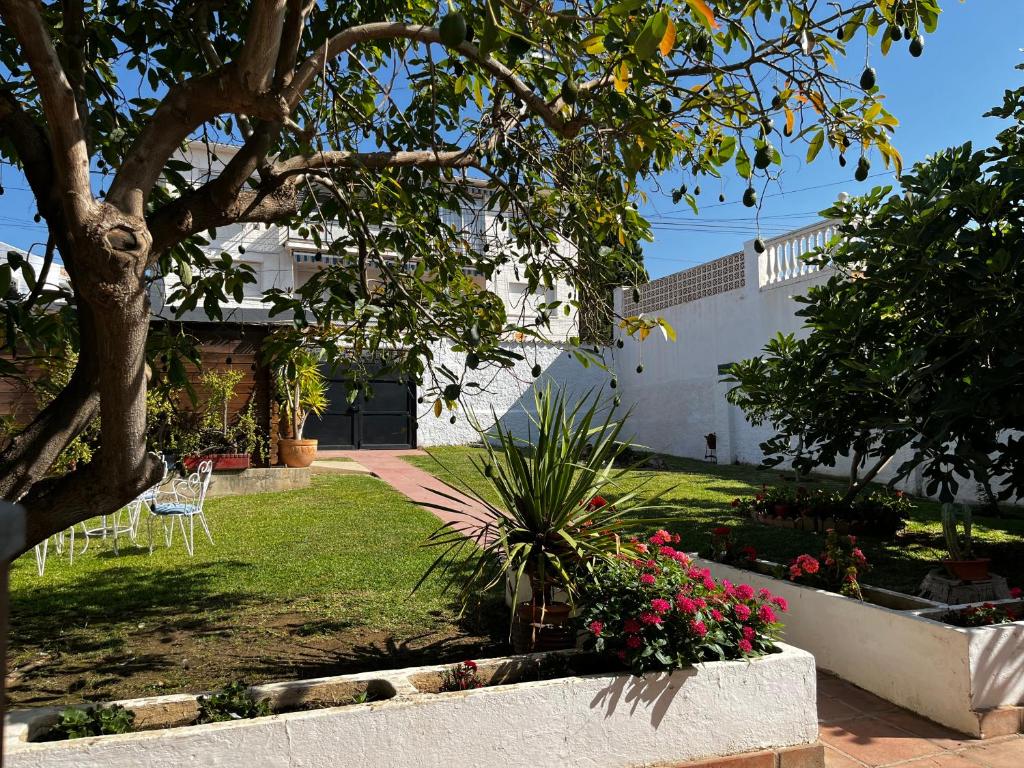 Bonito chalet en La Cala con gran jardín privado photo 1
