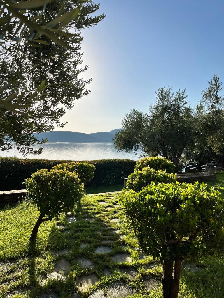 Villa Liana photo 2