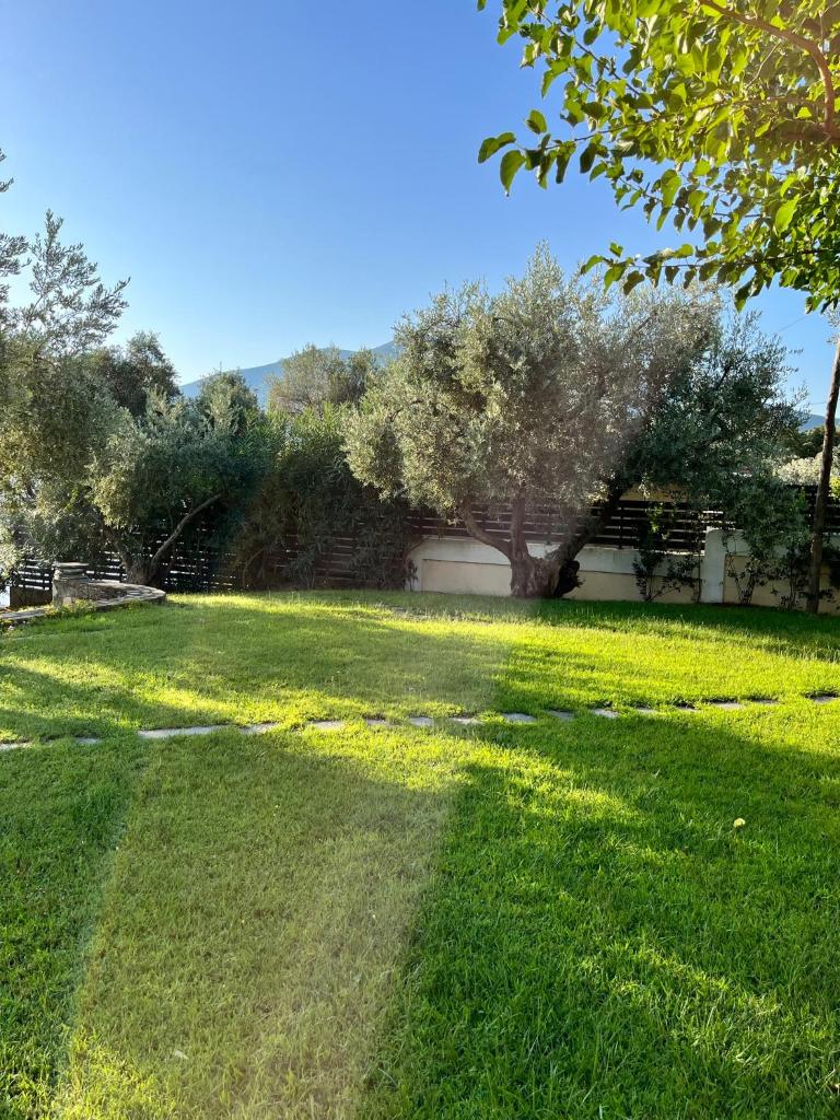 Villa Liana photo 3