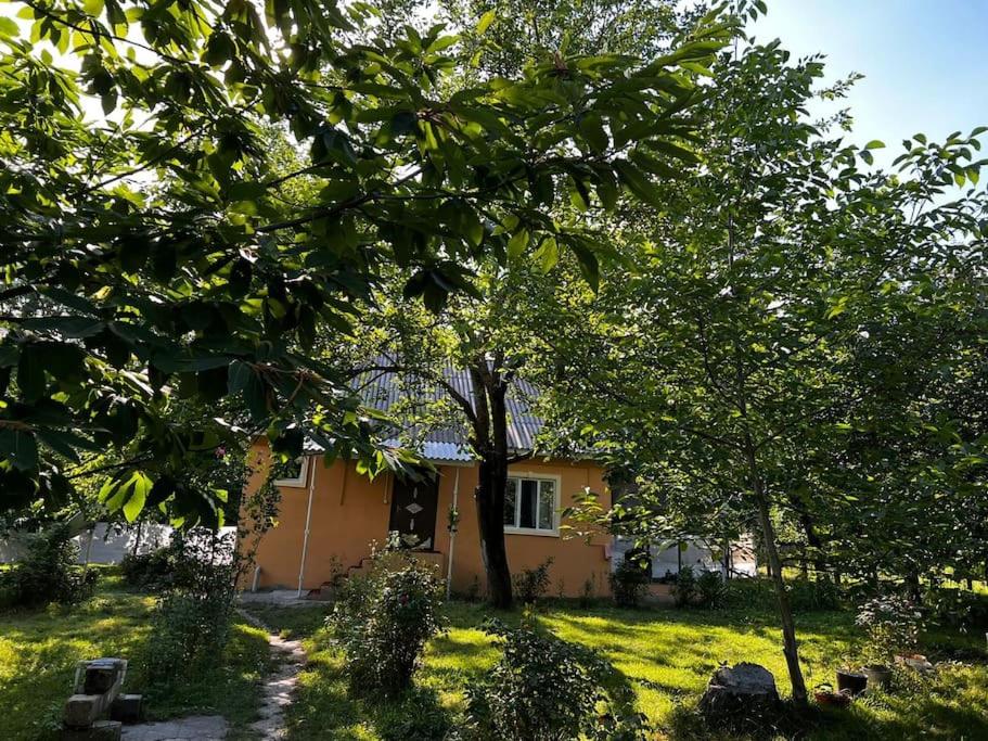 Mountain Views Quiet Garden Home photo 4