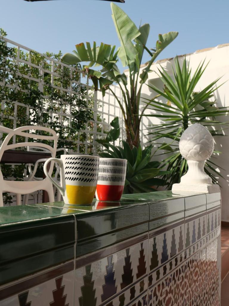 Palm House 10 photo 2