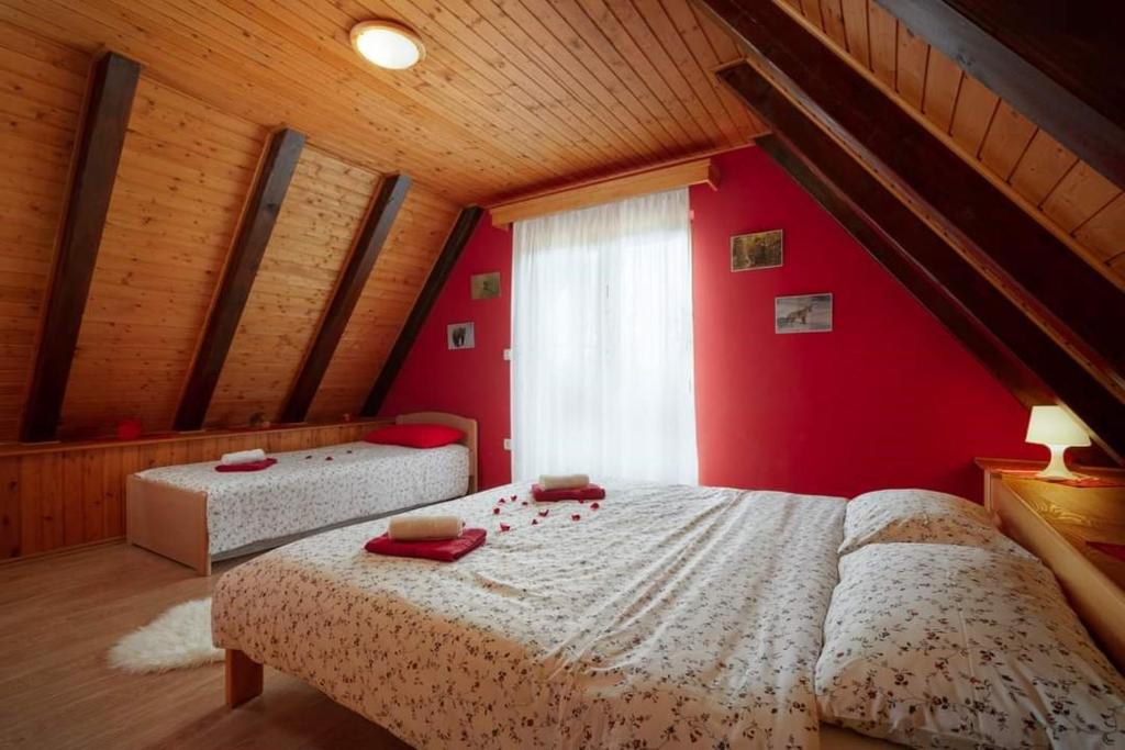 Poli Baneta photo 3