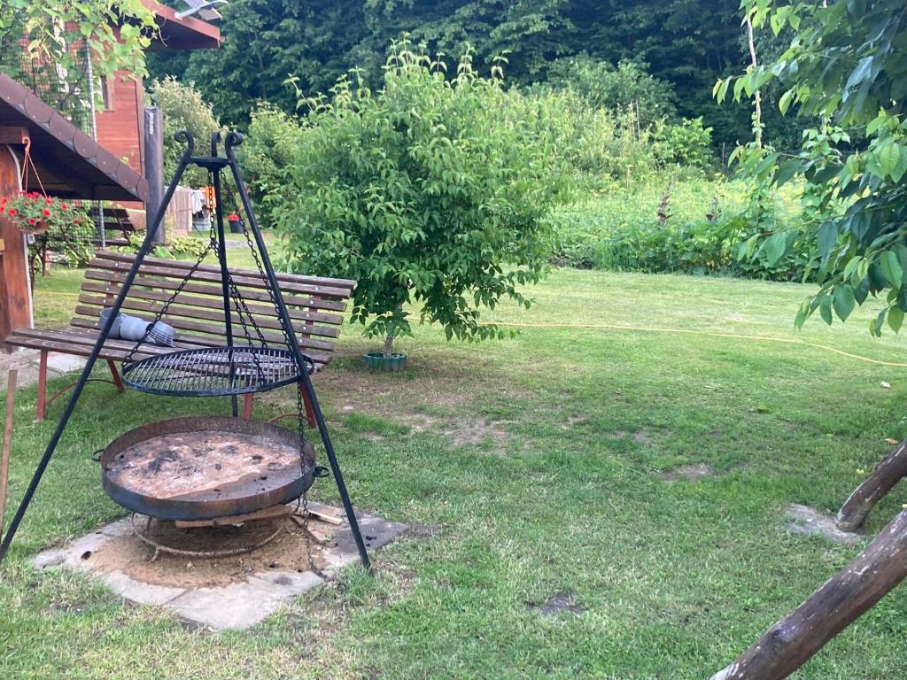 Pod Dębem photo 3