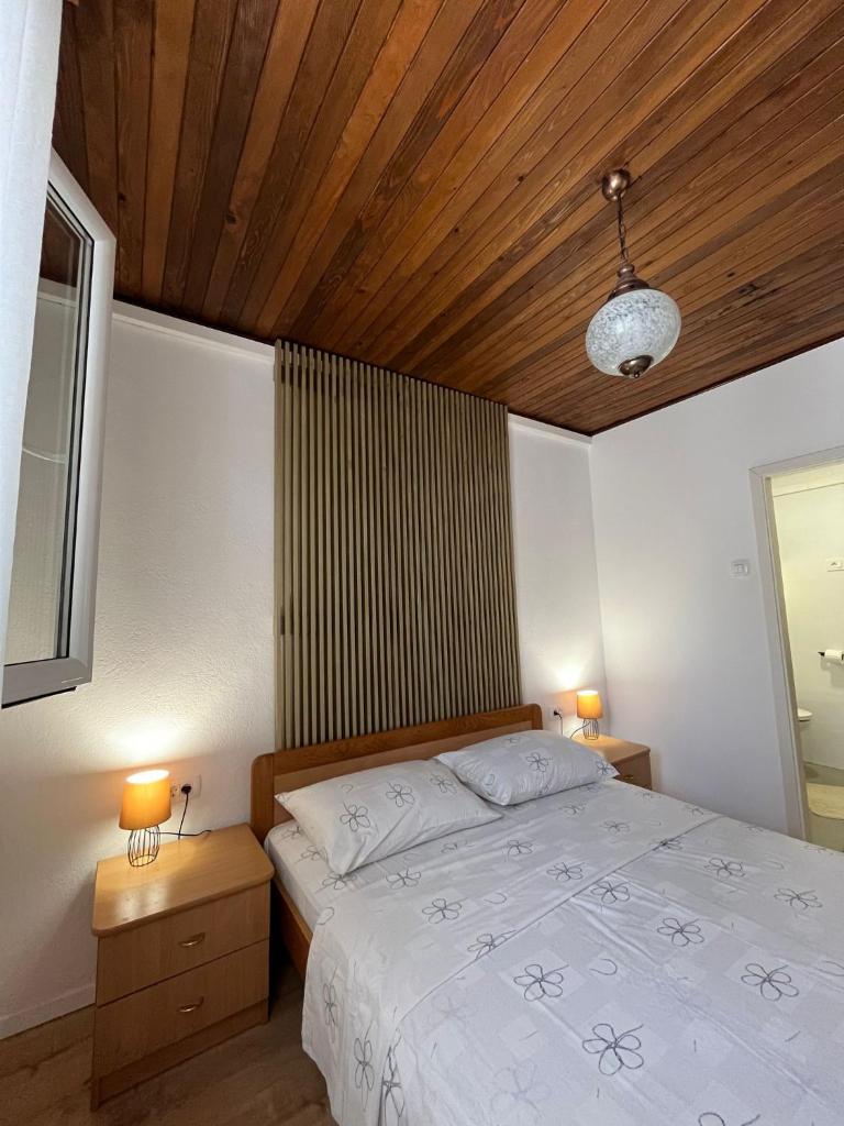 apartman Mijic photo 1
