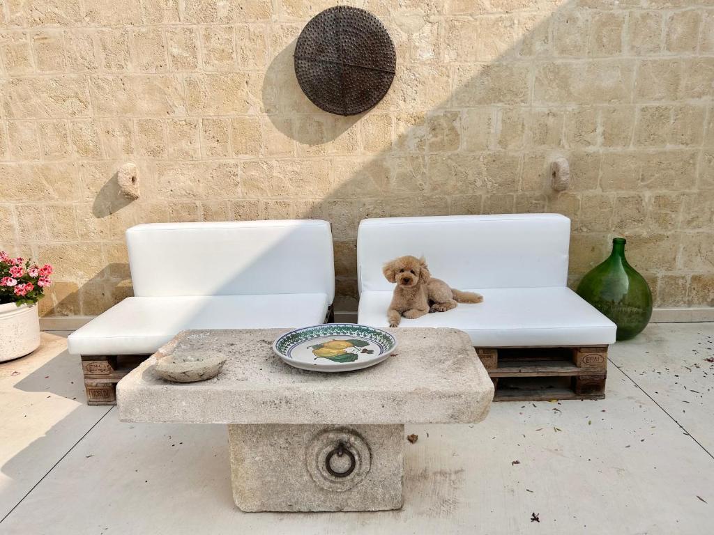 Masseria Spiga photo 1