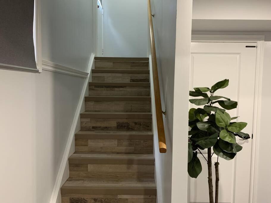 *Cozy, newly renovated, fully equipped* photo 4