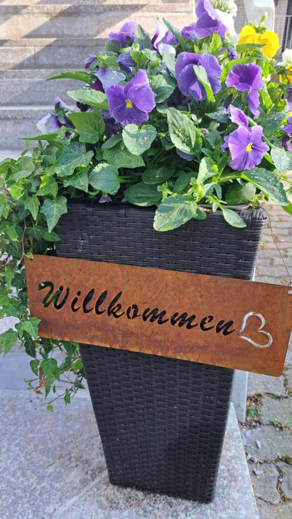 Ferienwohnungen Haus am Karpfenteich photo 1