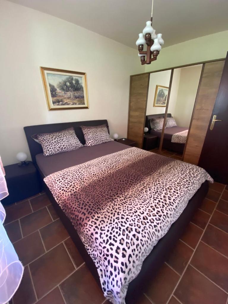 Holiday Home Andreja photo 1