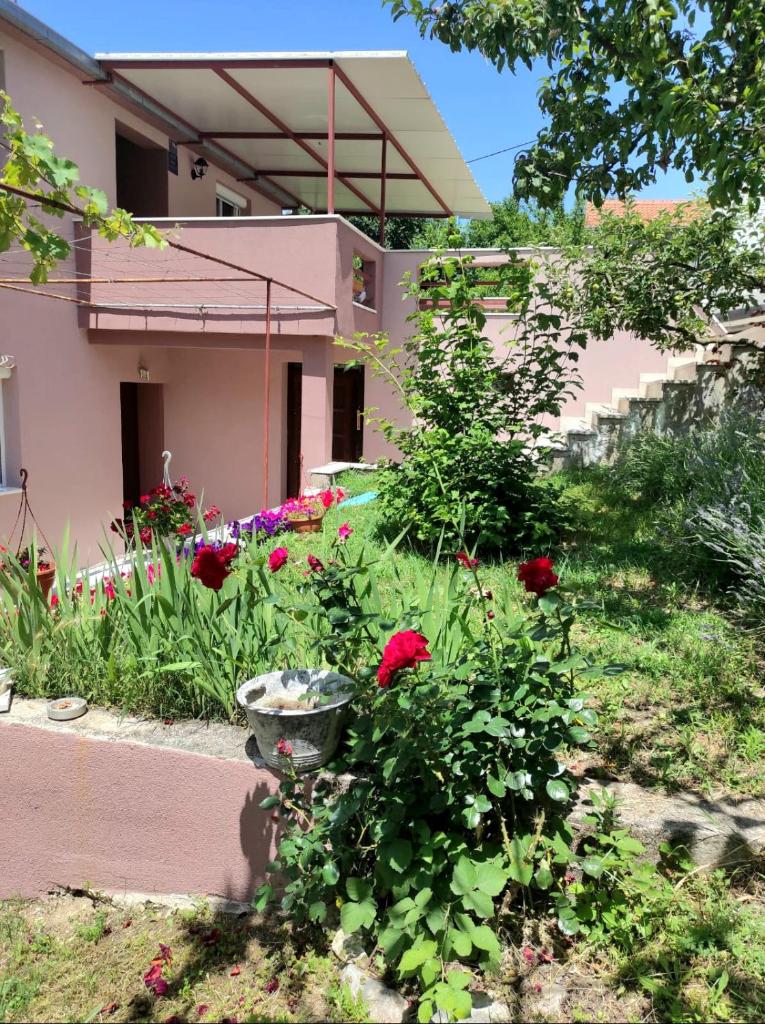 Apartman Neva photo 1
