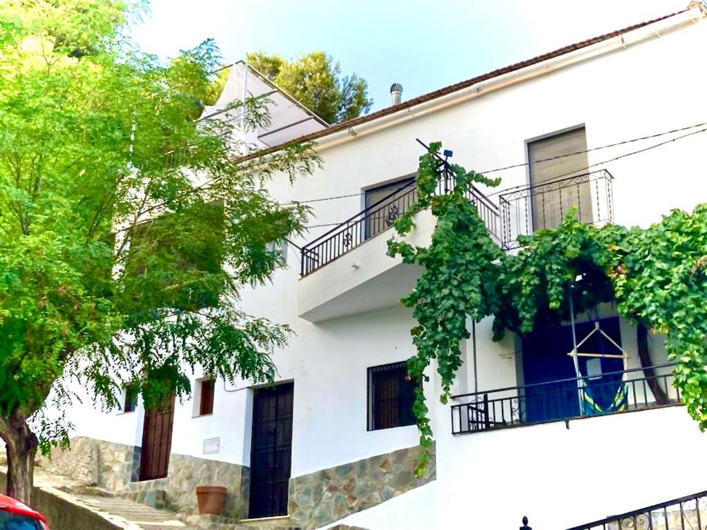 Casa Amigos - La Viña photo 2