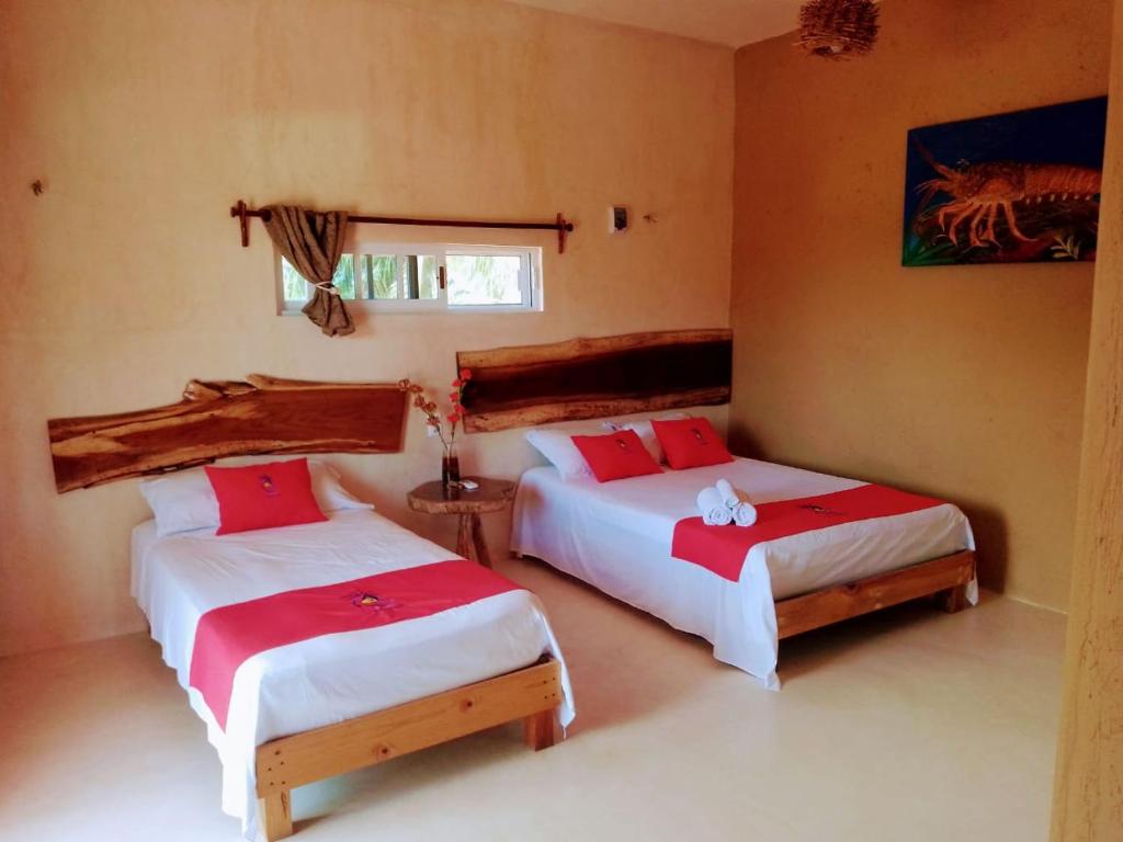Tribe Beachville photo 1