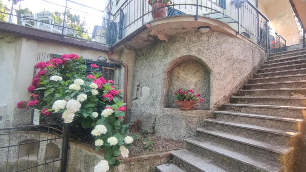 Appartamento con Giardino CITRA 010064-LT-0032 photo 3