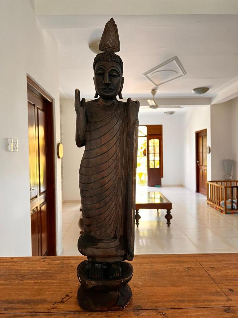 Ayurveda Mountain Villa photo 2