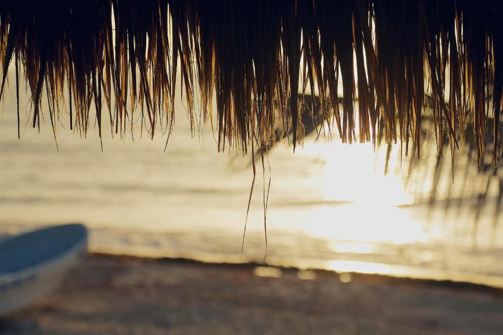 La Conchita Tulum photo 1