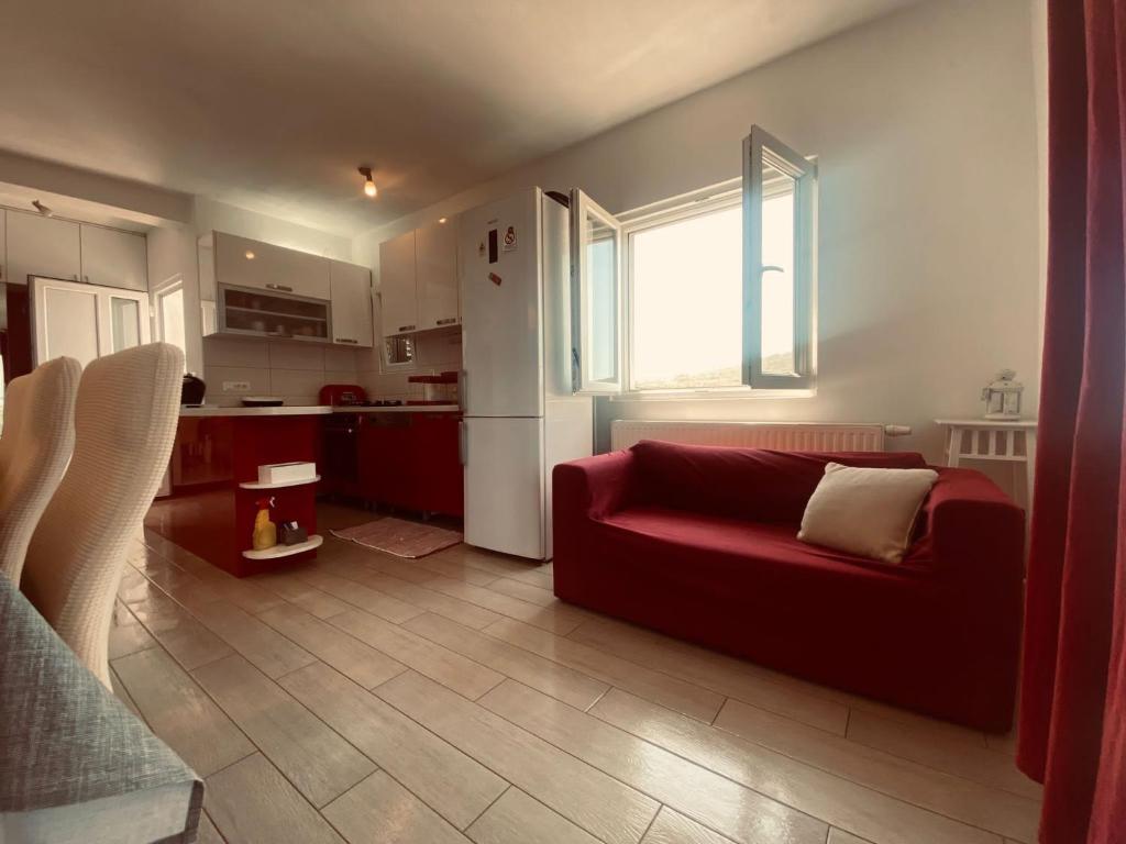 Apartment Modesty photo 2