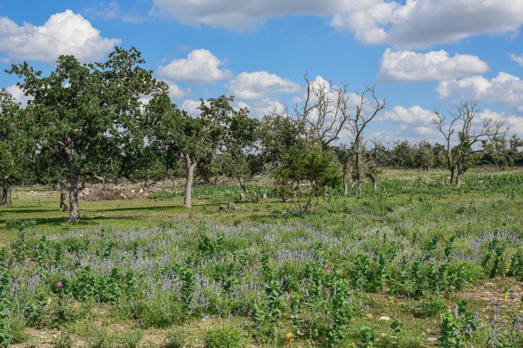 Best little Fredericksburg Bed and Breakfast Unit2 photo 4