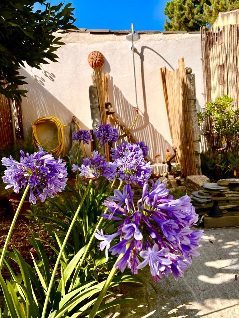 Villa Jeannette photo 2