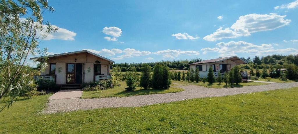 W Malinowym Chruśniaku photo 1